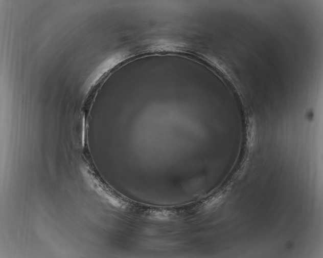 X0000115561219200911271449