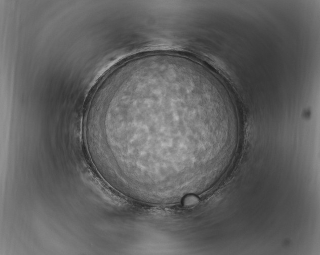 X0000115561220200911271449