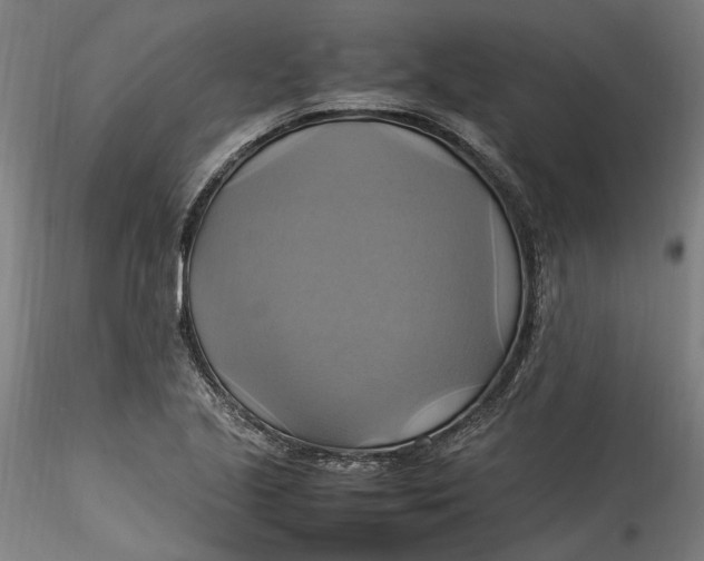 X0000115561221200911271449