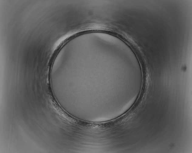 X0000115561222200911271449