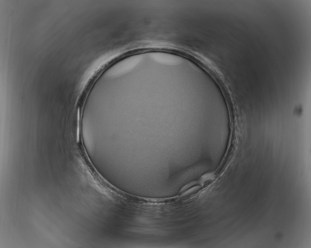 X0000115561223200911271449