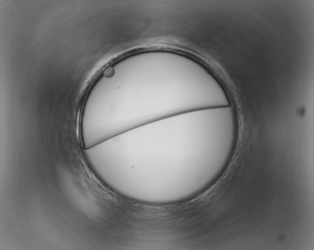 X0000115561224200911271449