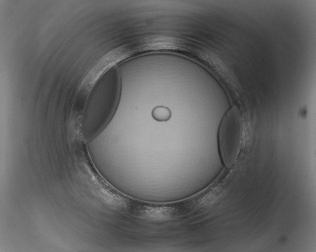 X0000115561225200911271449