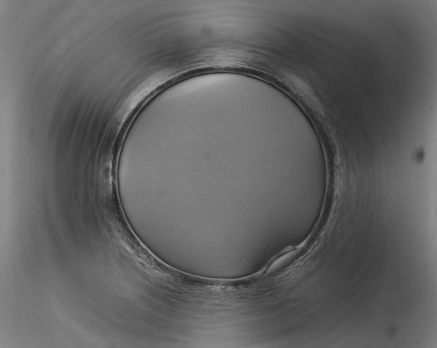 X0000115561226200911271449