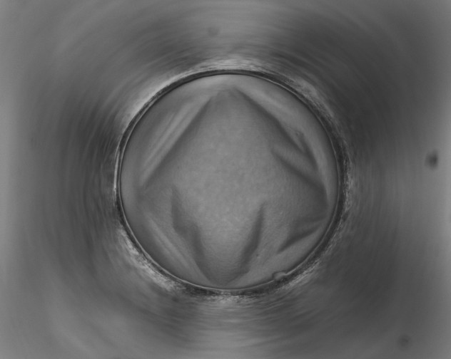 X0000115561228200911271449