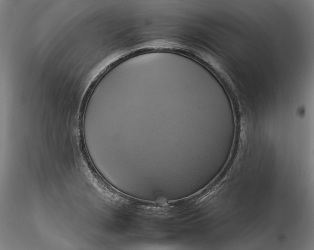 X0000115561229200911271449