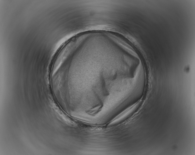 X0000115561230200911271449