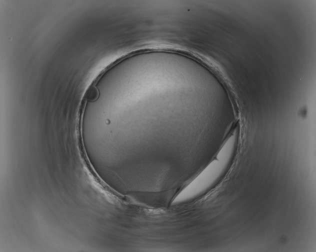 X0000115561231200911271449