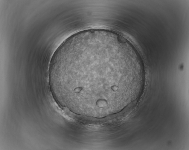 X0000115561236200911271449