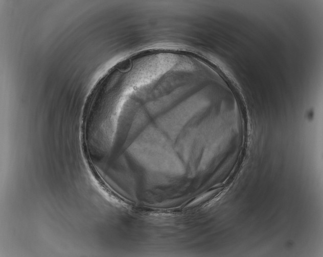 X0000115561237200911271449