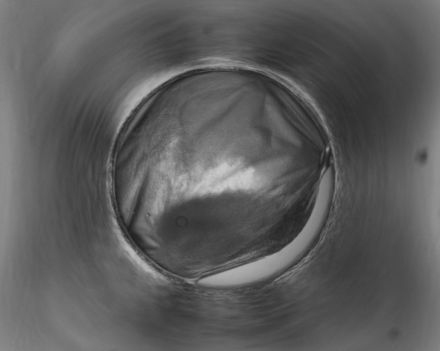 X0000115561239200911271449