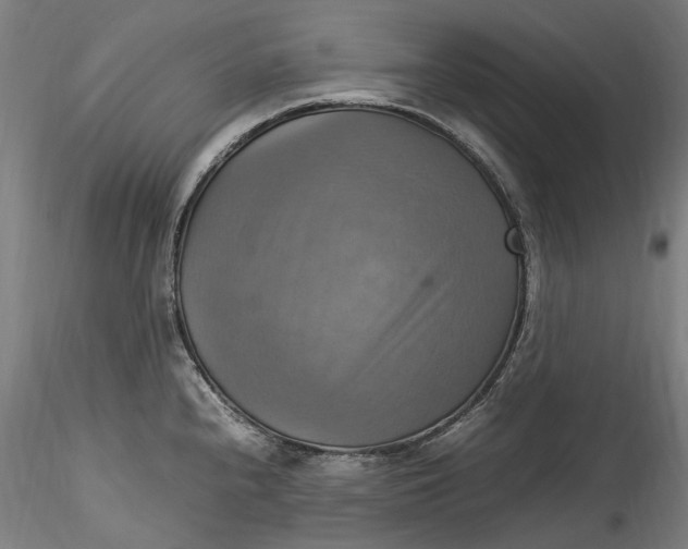 X0000115561240200911271449