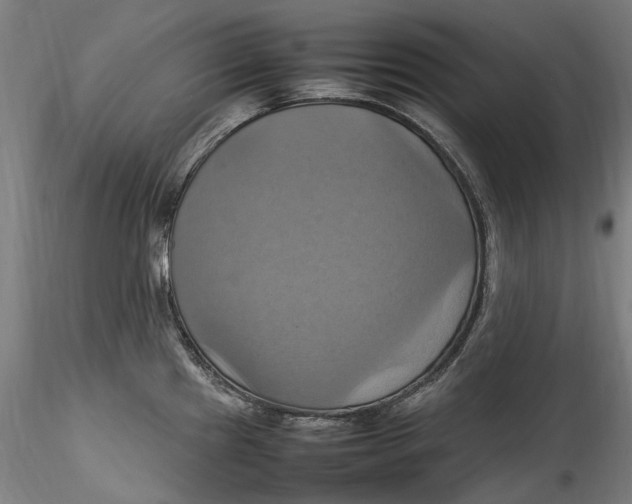 X0000115561241200911271449