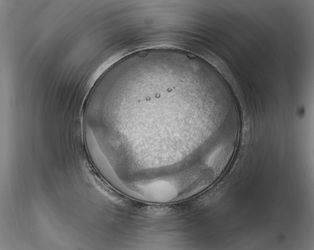 X0000115561242200911271449