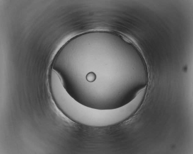 X0000115561243200911271449