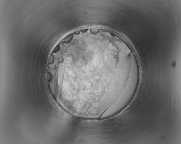 X0000115561244200911271449