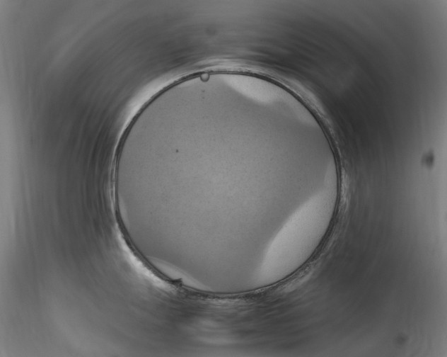 X0000115561247200911271449