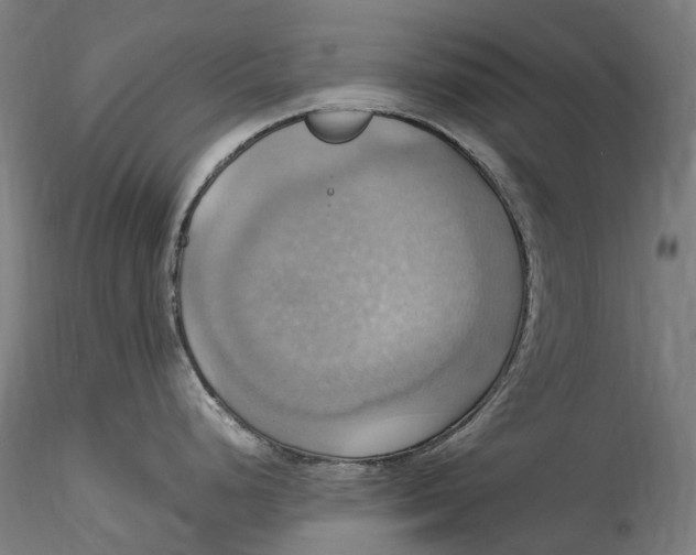 X0000115561248200911271449