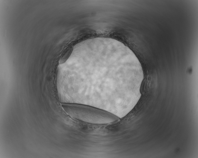 X0000115561249200911271449