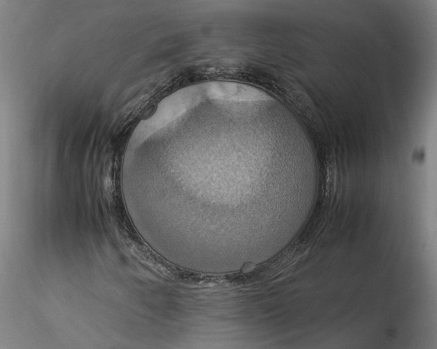 X0000115561250200911271449