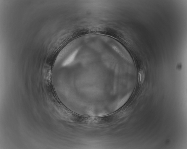 X0000115561251200911271449