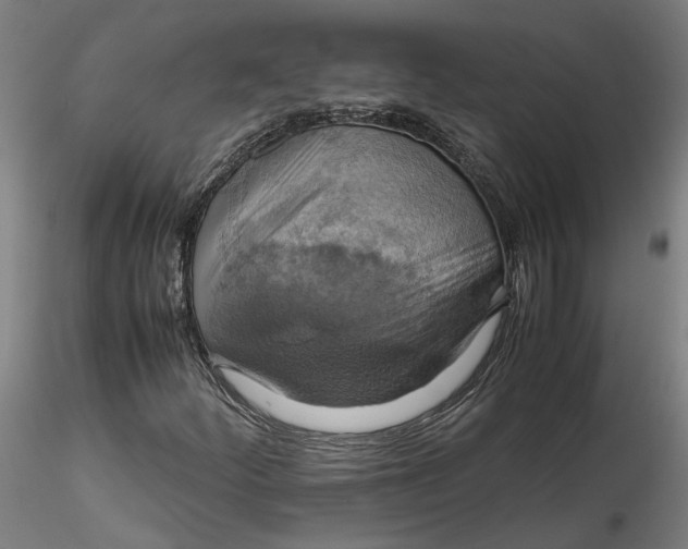 X0000115561252200911271449