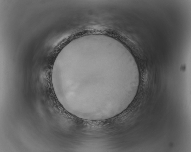 X0000115561254200911271449