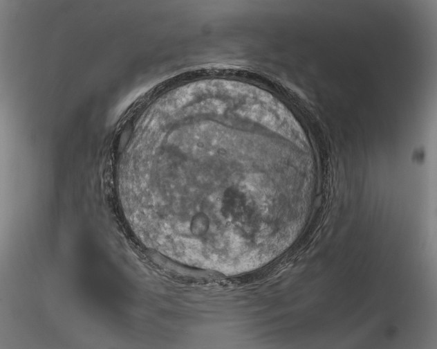 X0000115561255200911271449