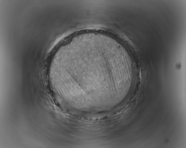 X0000115561256200911271449