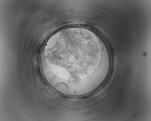 X0000115561257200911271449