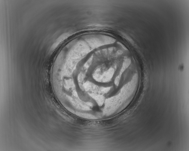 X0000115561259200911271449