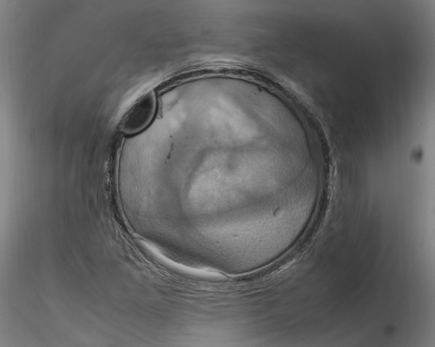 X0000115561261200911271449