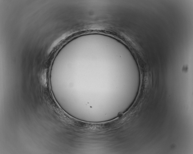 X0000115561262200911271449