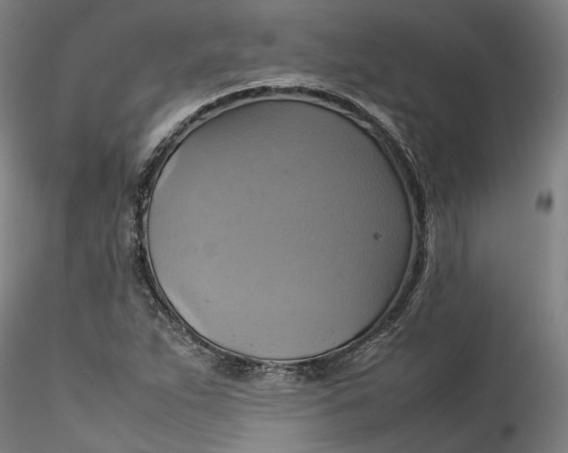 X0000115561263200911271448