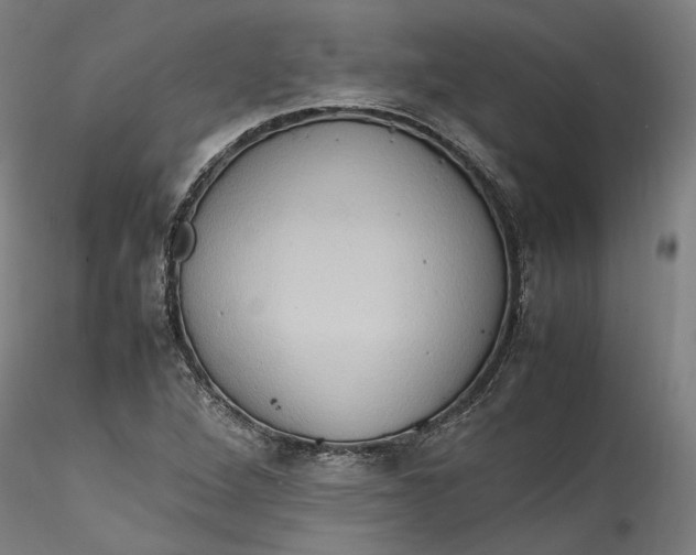 X0000115561264200911271448