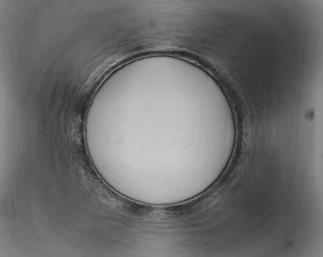 X0000115561265200911271448