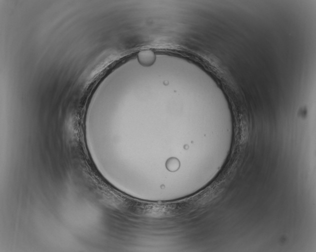 X0000115561266200911271448