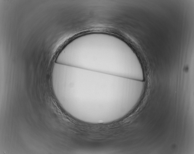 X0000115561267200911271448