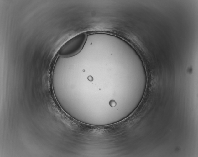 X0000115561268200911271448