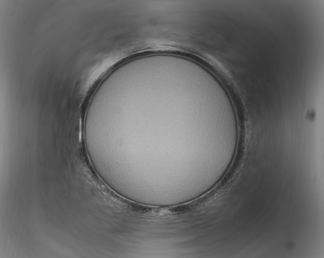 X0000115561269200911271448