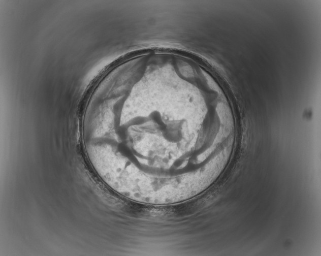 X0000115561271200911271448