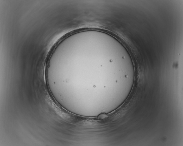 X0000115561272200911271448