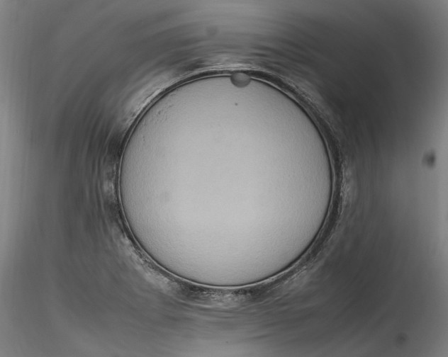 X0000115561273200911271448