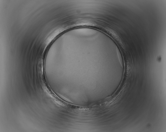 X0000115561274200911271448