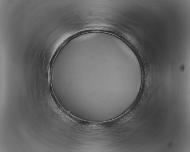 X0000115561275200911271448