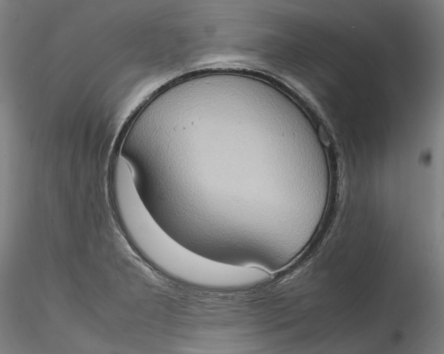 X0000115561277200911271448