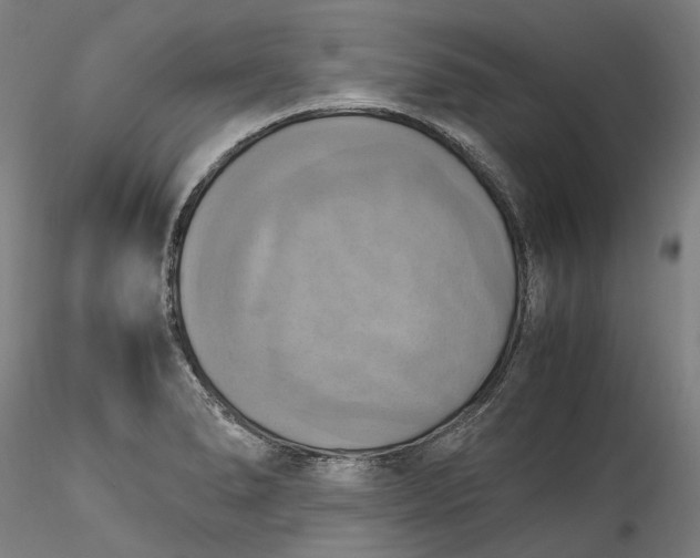 X0000115561278200911271448