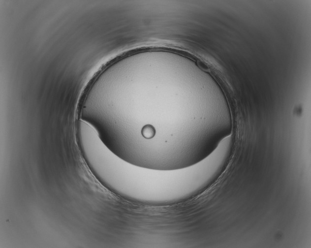 X0000115561280200911271448