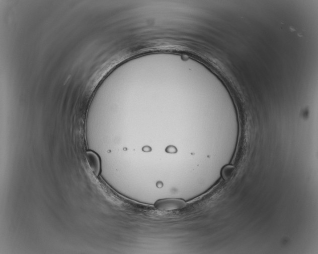 X0000115561281200911271448