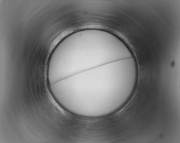 X0000115561282200911271448